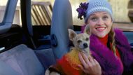 Legally Blonde (Image via Prime Video)